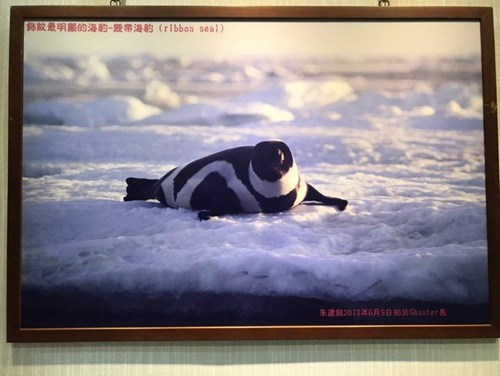 寰宇蒐奇1