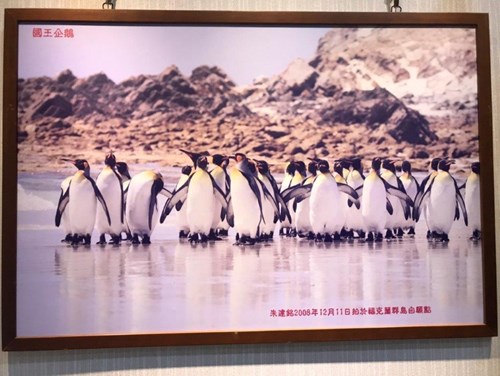 寰宇蒐奇8