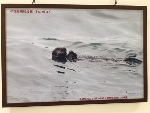寰宇蒐奇14