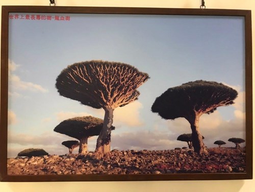 寰宇蒐奇22